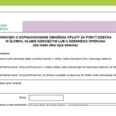 Dofinansowanie do żłobka: kiedy wypłata i jak uniknąć opóźnień?