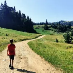Pieniny – najlepsze miejsca do zobaczenia z dzieckiem, które zachwycą